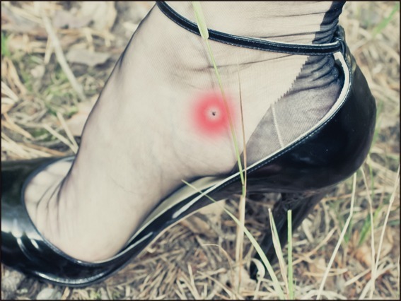 nylonstrümpfe Zeckenschutz