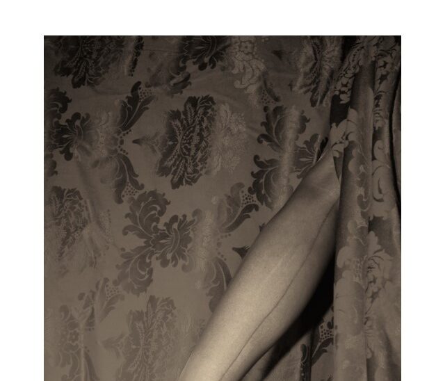 Titelfoto zum Artikel