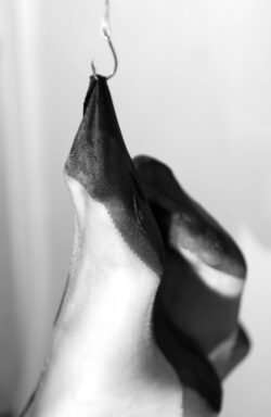 2008 stockinged feet and fishing hook Mit Nahtnylons bestrumpfte Frauenfüße. Der Strumpf ist an einem Angelhaken hängend. Ein Foto aus dem Jahr 2008